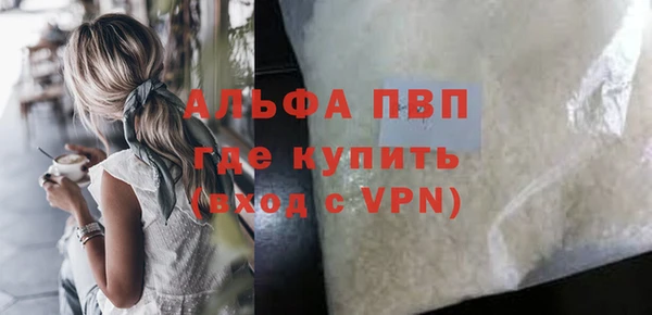 сатива Волоколамск