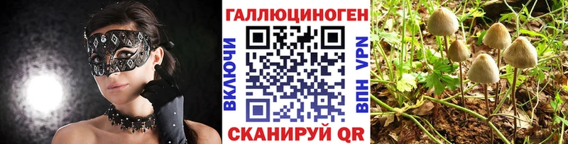 Галлюциногенные грибы Psilocybe  цена наркотик  Дятьково 